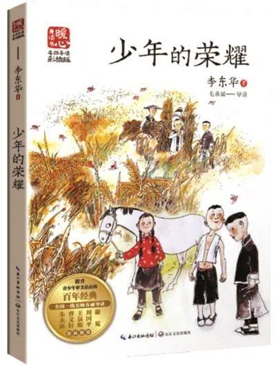 鸽子牧最新，鸽子的温馨日常与友情的力量