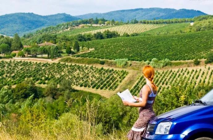 迷宫饭最新，一场探索自然美景的轻松之旅