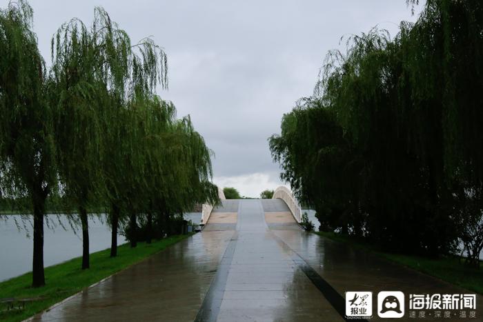 最新东营，一场自然美景的探索之旅，寻找内心的平和与宁静