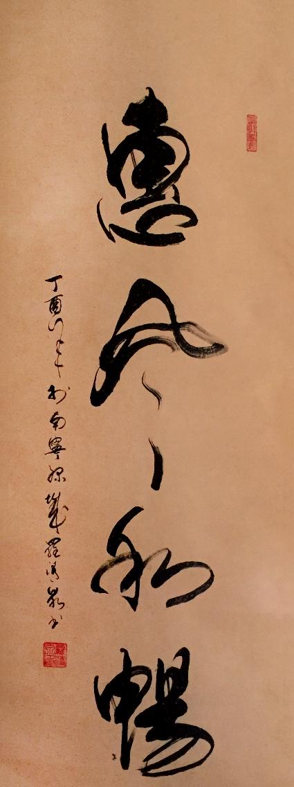 缤纷好友最新，一场自然美景的探险之旅，寻找内心的平和与宁静