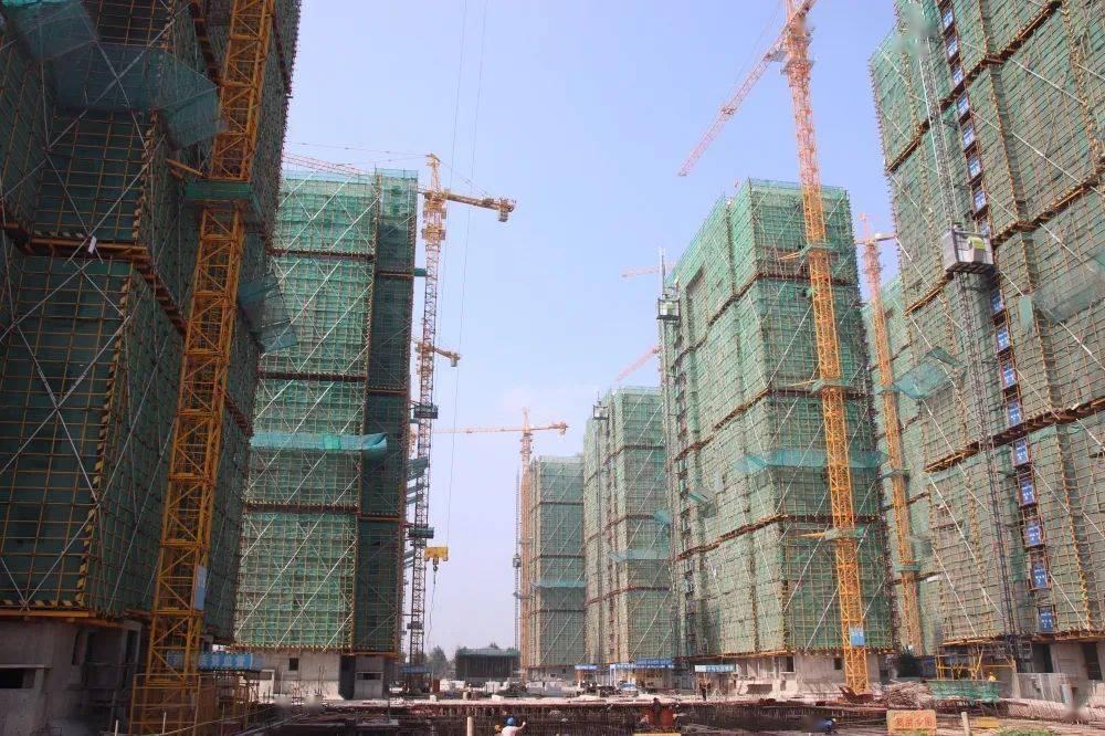 安置房最新动态，了解政策走向与市场趋势