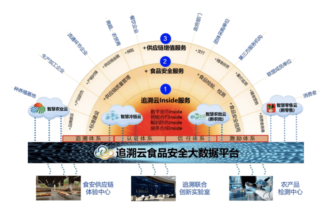 云同伴最新，追溯背景，探寻其在时代中的独特地位
