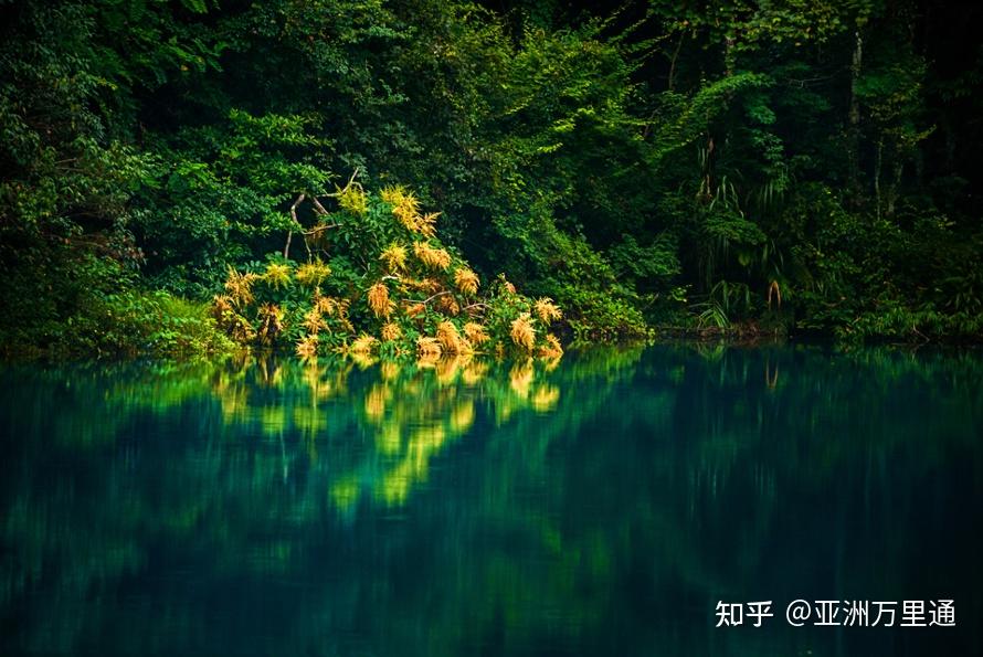 曲靖最新病例，一场自然美景的旅行探索，寻找内心的平和与宁静