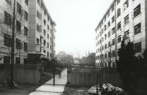 老太欧洲最新，探索欧洲老年人的生活变迁与时代风貌