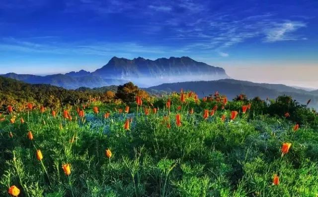 最新萌影视，探索自然美景的治愈之旅