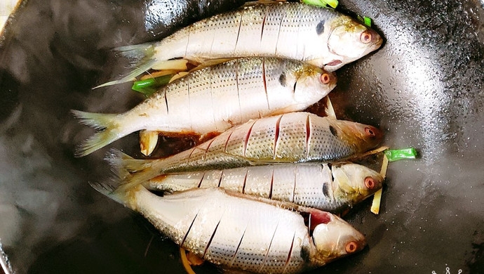 最新疫情鱼，捕捉、处理与烹饪的详细步骤指南