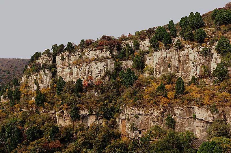 临朐马最新，带你领略不一样的风采✨