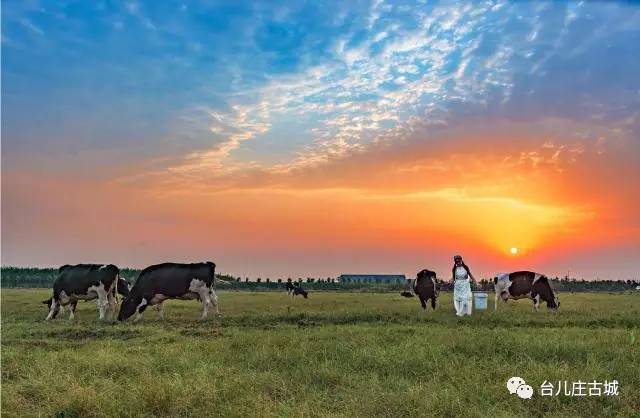 牧神记最新章节，探索自然美景的旅程，寻找内心的平静