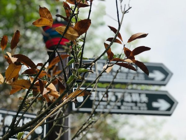 船员最新动态，探索自然美景的旅程，寻找内心的平静