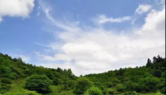 沁县最新疫情下的自然探索之旅，寻找内心的宁静与平和