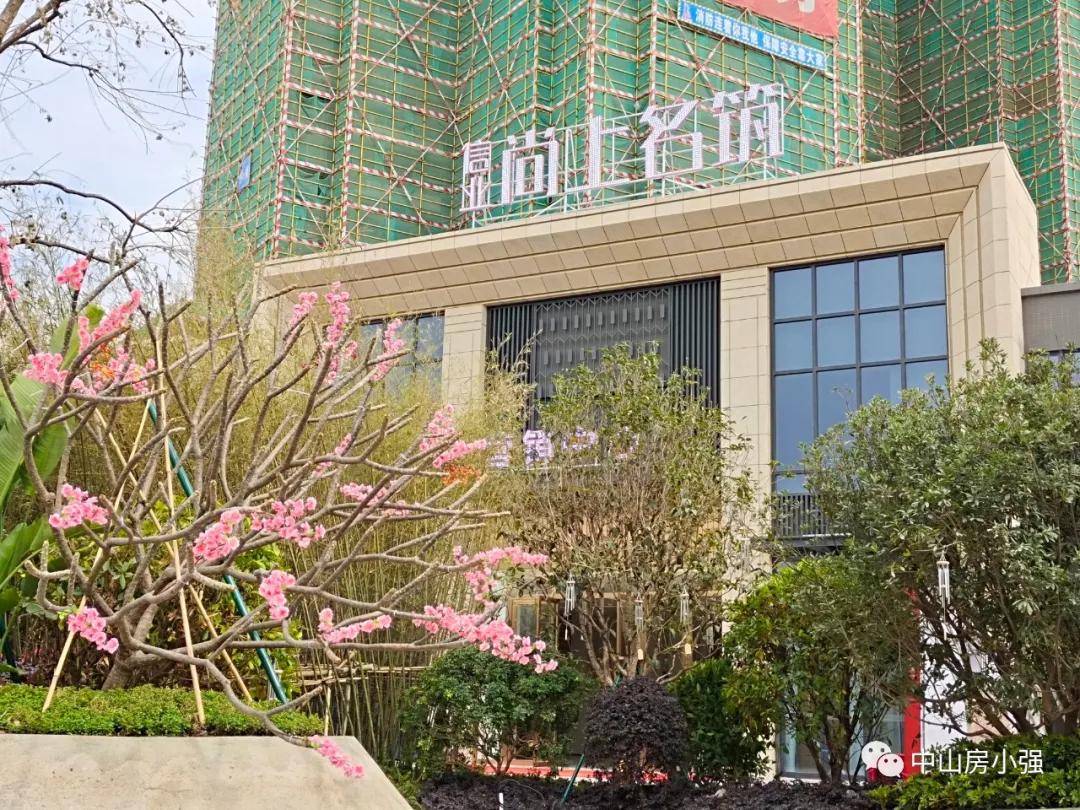 鸡的最新价格，详细步骤指南