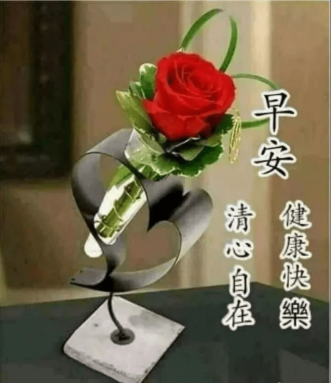 金满堂最新图片，温馨日常的欢乐时光