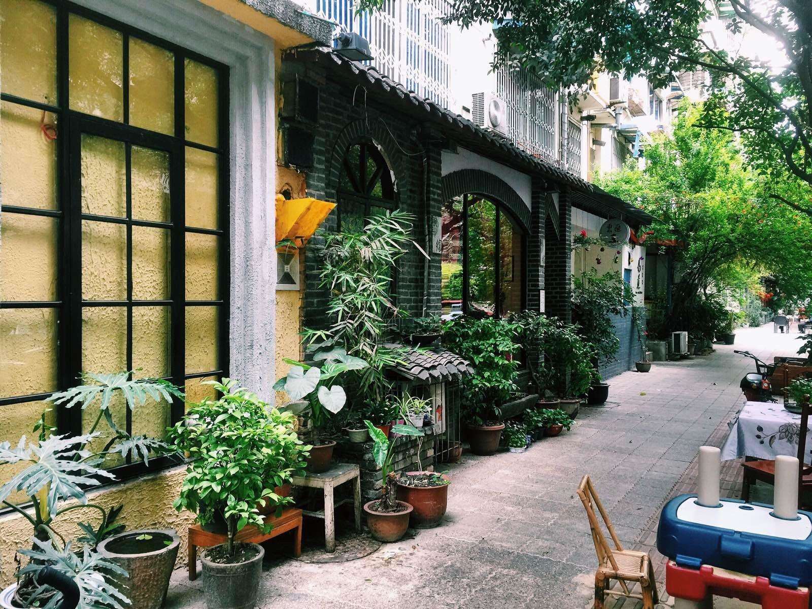 网易最新疫情通报，巷弄深处的独特风味——探访隐藏在小巷中的特色小店