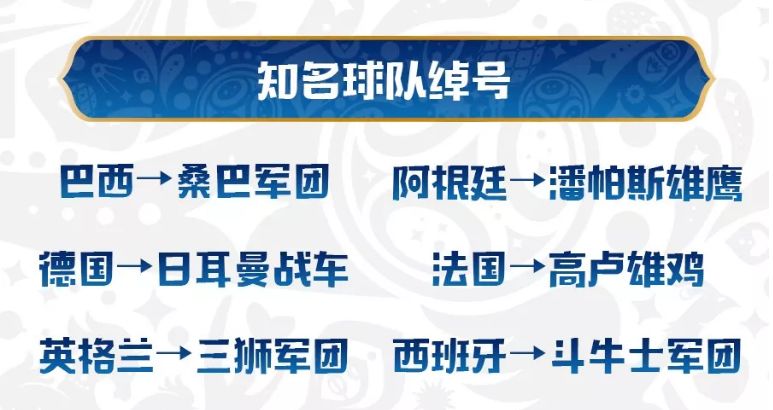 最新款纯棉制作指南——从选择到完成的每一步